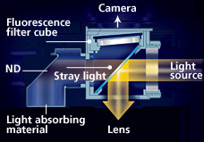 Ni-E-尼康研究級(jí)生物顯微鏡-上海思長(zhǎng)約光學(xué)經(jīng)銷