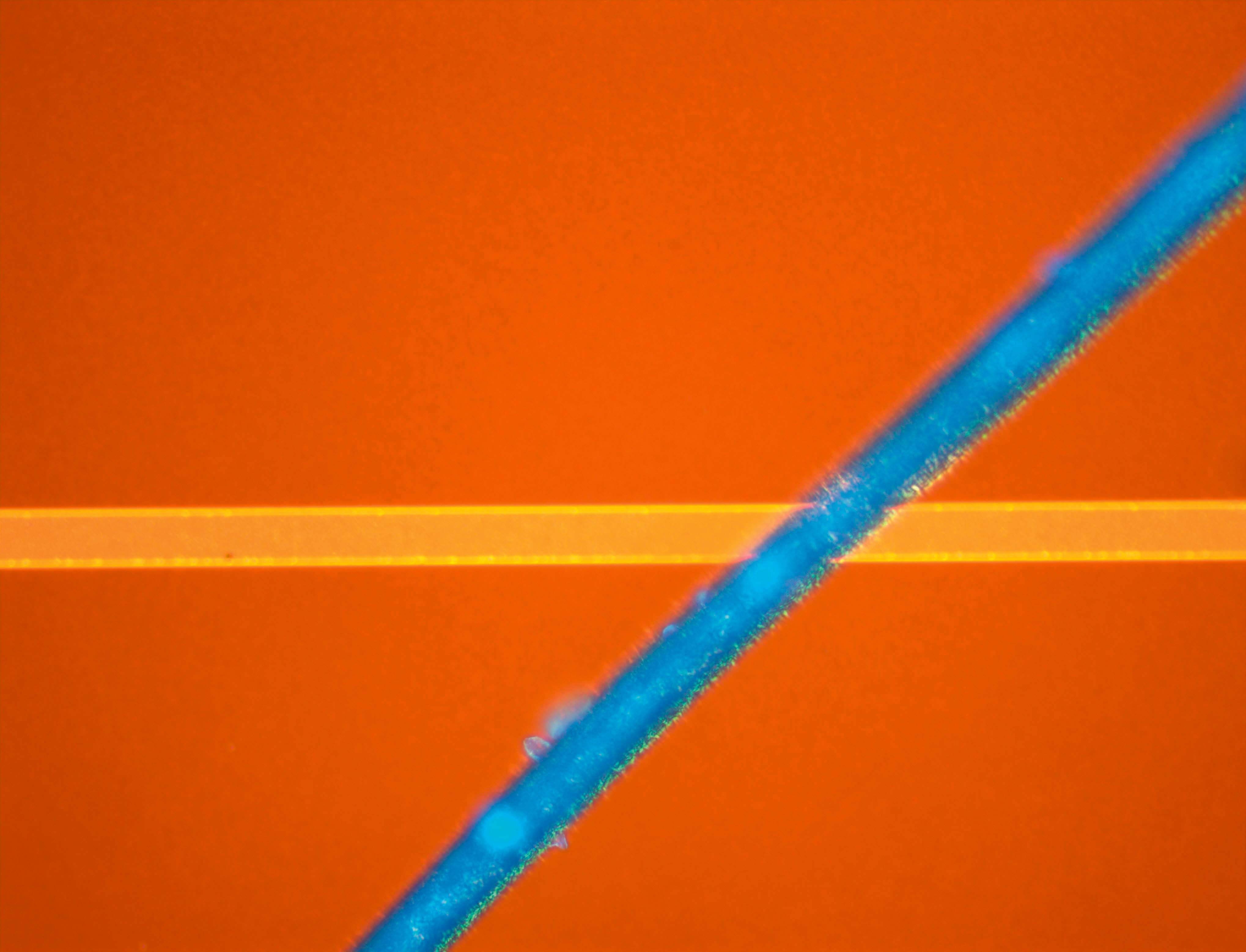 L200N-L200ND尼康高倍檢測(cè)顯微鏡-上海思長(zhǎng)約光學(xué)經(jīng)銷(xiāo)